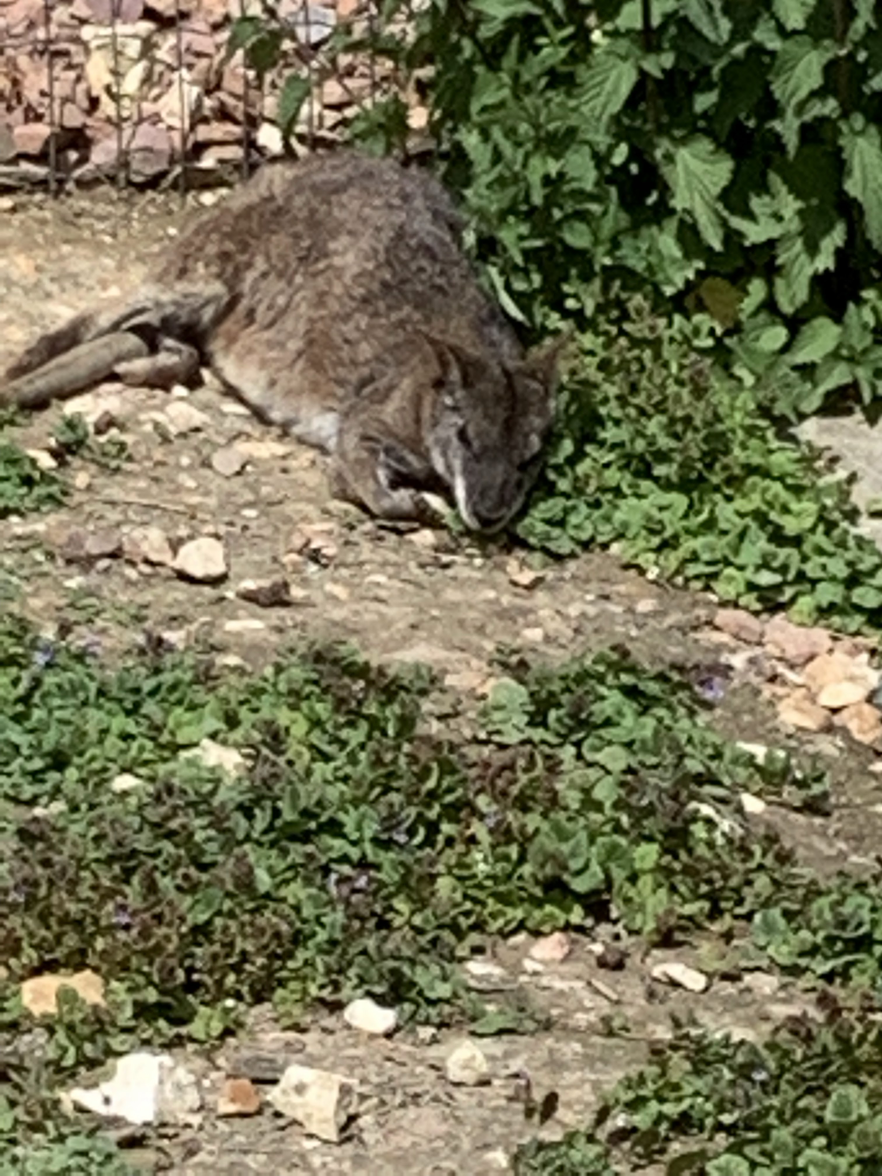Photo n° 12 de l'avis de Angie. fait le 15/05/2019 à 11:27