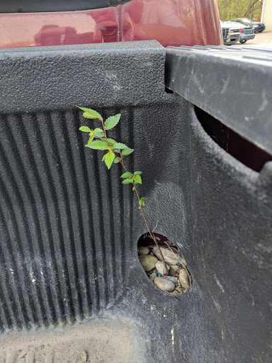 Used Car Dealer «Wolff Auto Sales», reviews and photos, 711 Providence Blvd, Clarksville, TN 37042, USA