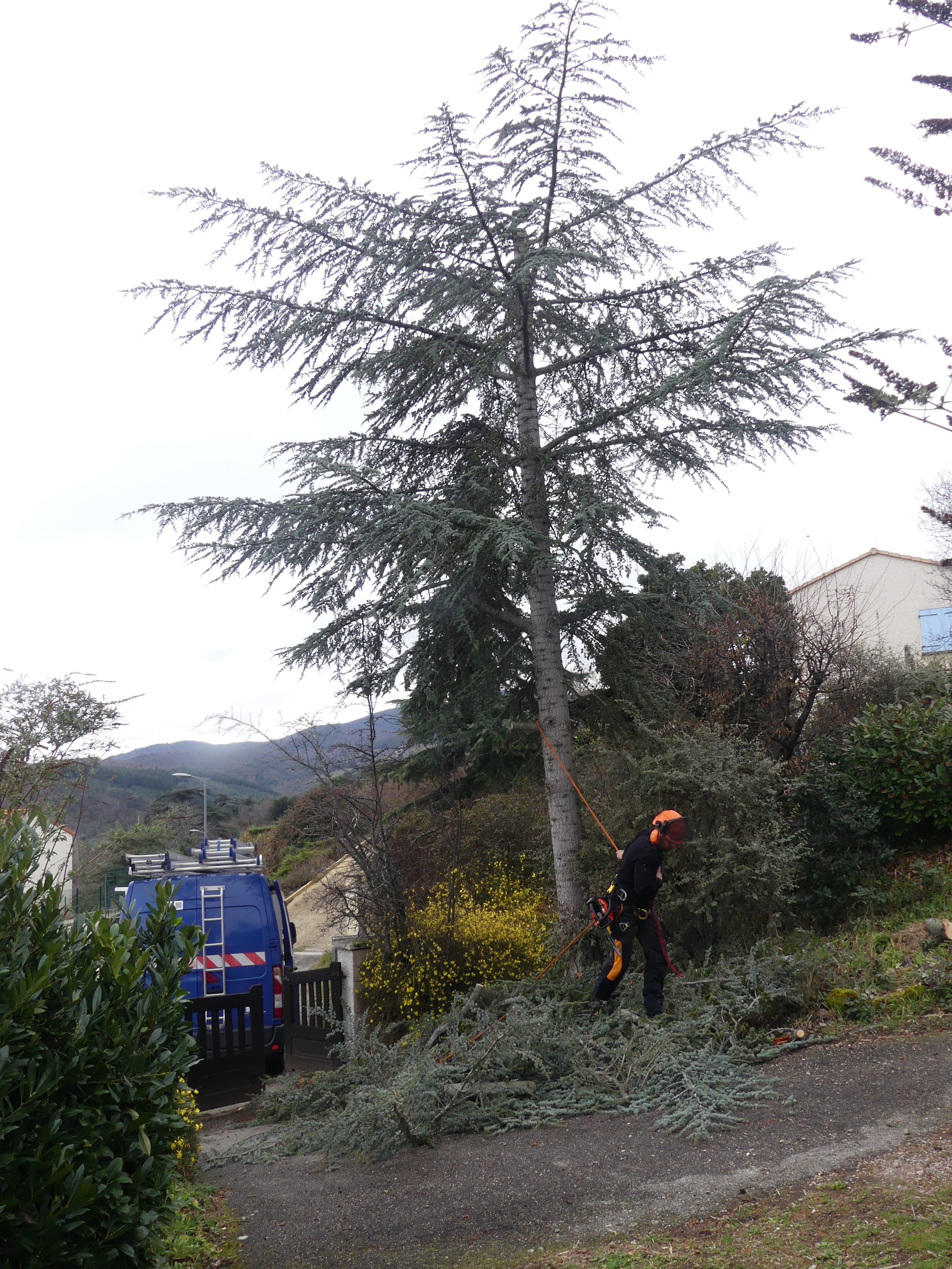 Photo n° 5 de l'avis de Rivel-Ruffin.h fait le 12/02/2024 à 14:34