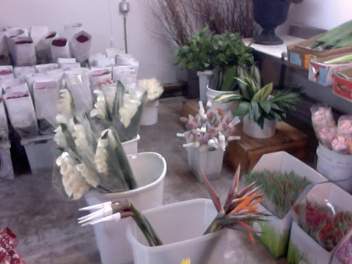 Florist «The Flower Place», reviews and photos, 860 NE 79th St, Miami, FL 33138, USA