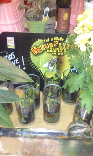 Grocery Store «Star Market», reviews and photos, 1 Snow Rd, Marshfield, MA 02050, USA