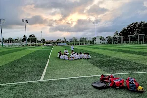 Gangnam Soccer Park image