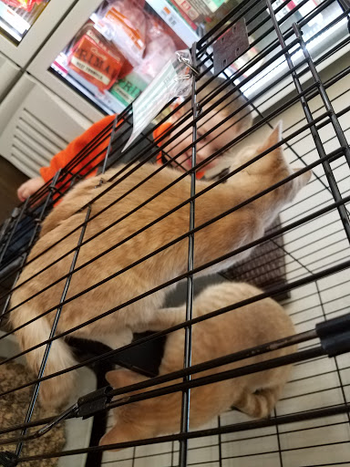 Pet Supply Store «Pet Supplies Plus», reviews and photos, 1676 E Summit St, Crown Point, IN 46307, USA