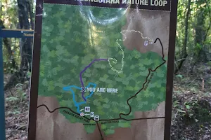 Mt Ngongotaha Nature Loop image