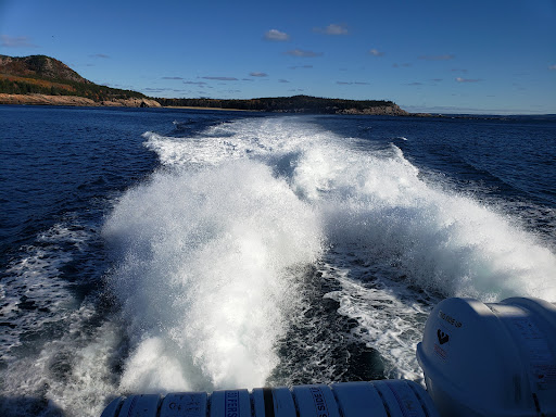 Whale Watching Tour Agency «Bar Harbor Whale Watch Co», reviews and photos, 1 West St, Bar Harbor, ME 04609, USA