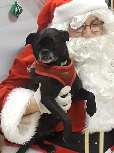 Pet Supply Store «PetSmart», reviews and photos, 3995 Welsh Rd, Willow Grove, PA 19090, USA