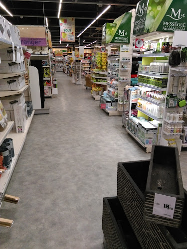 Magasin d'ameublement et de décoration GiFi Gannat Gannat