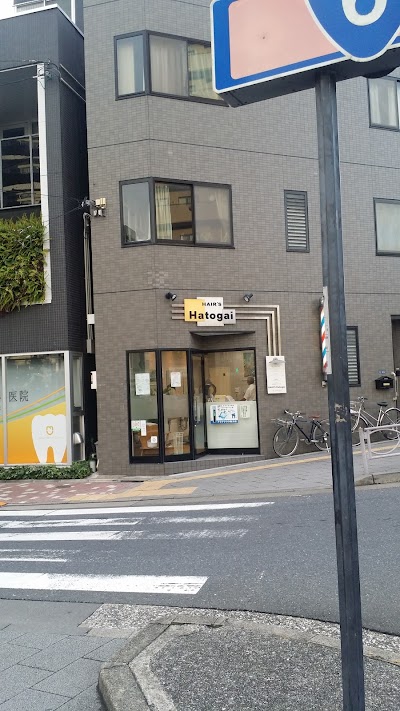 ヘアーズハトガイ