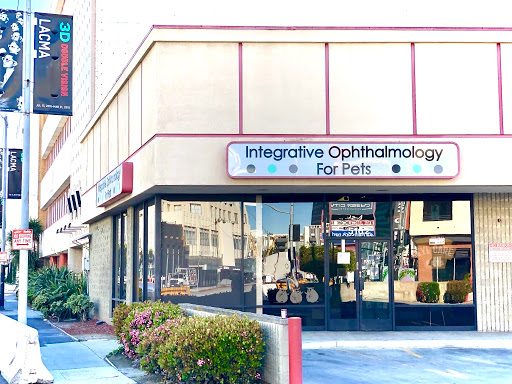 Integrative Ophthalmology for Pets