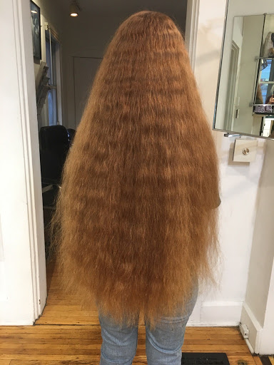 Rapunzel's Long Hair Salon