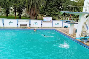 Gajraj Swimming Pool image
