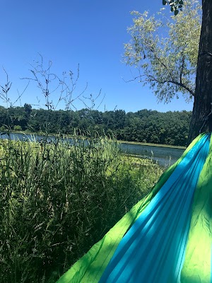Asylum Lake Preserve - photo 69