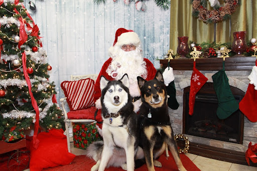 Pet Supply Store «The Hungry Puppy», reviews and photos, 1288 NJ-33, Farmingdale, NJ 07727, USA