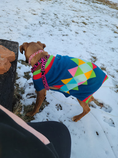 Animal Feed Store «Franklin Hardware & Pet Center», reviews and photos, 1975 Philadelphia Ave, Chambersburg, PA 17201, USA