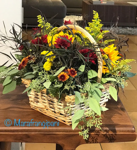 Florist «Frangipani Flowers & Gifts», reviews and photos, 1203 4th St, San Rafael, CA 94901, USA