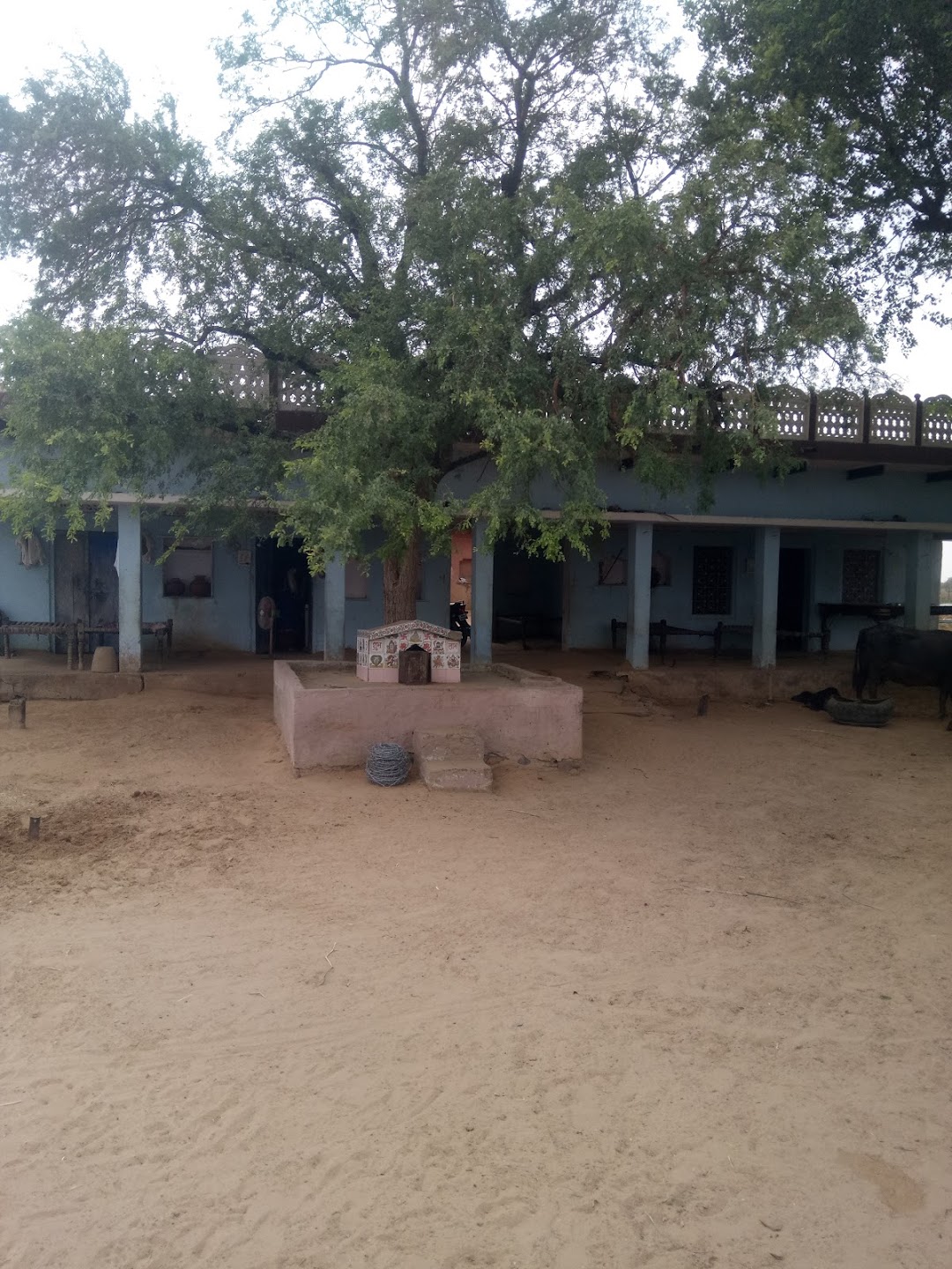 रामरतन पटेल की ढाणी