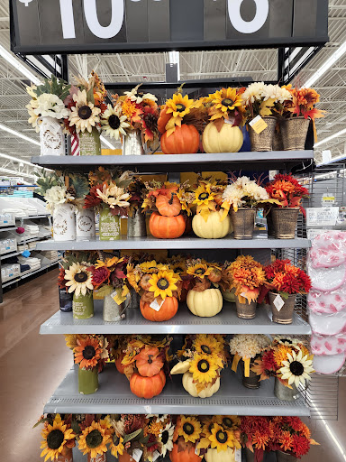 Department Store «Walmart Supercenter», reviews and photos, 11465 Tara Blvd, Lovejoy, GA 30250, USA