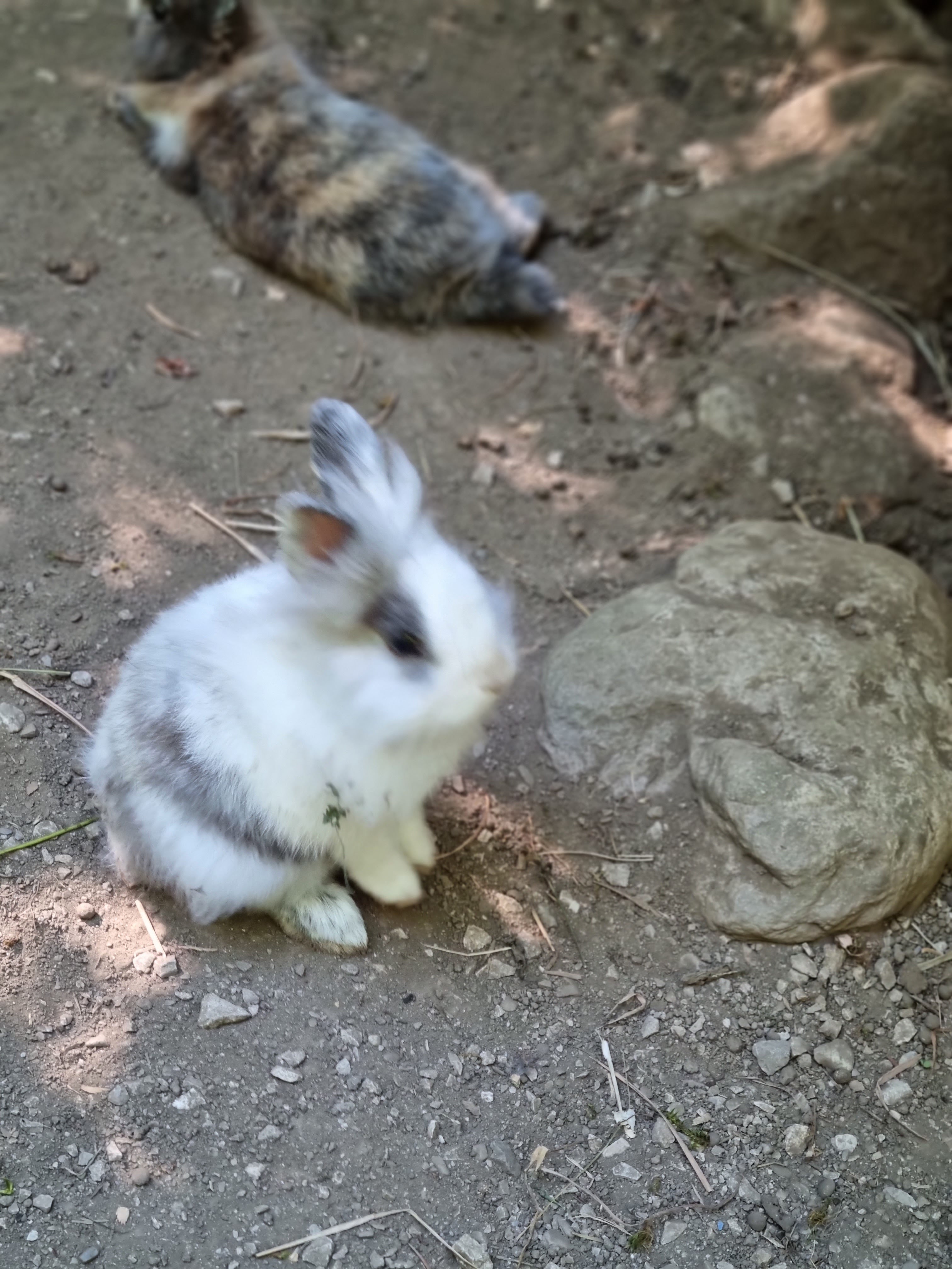 Photo n° 1 de l'avis de p.d fait le 14/07/2023 à 17:06