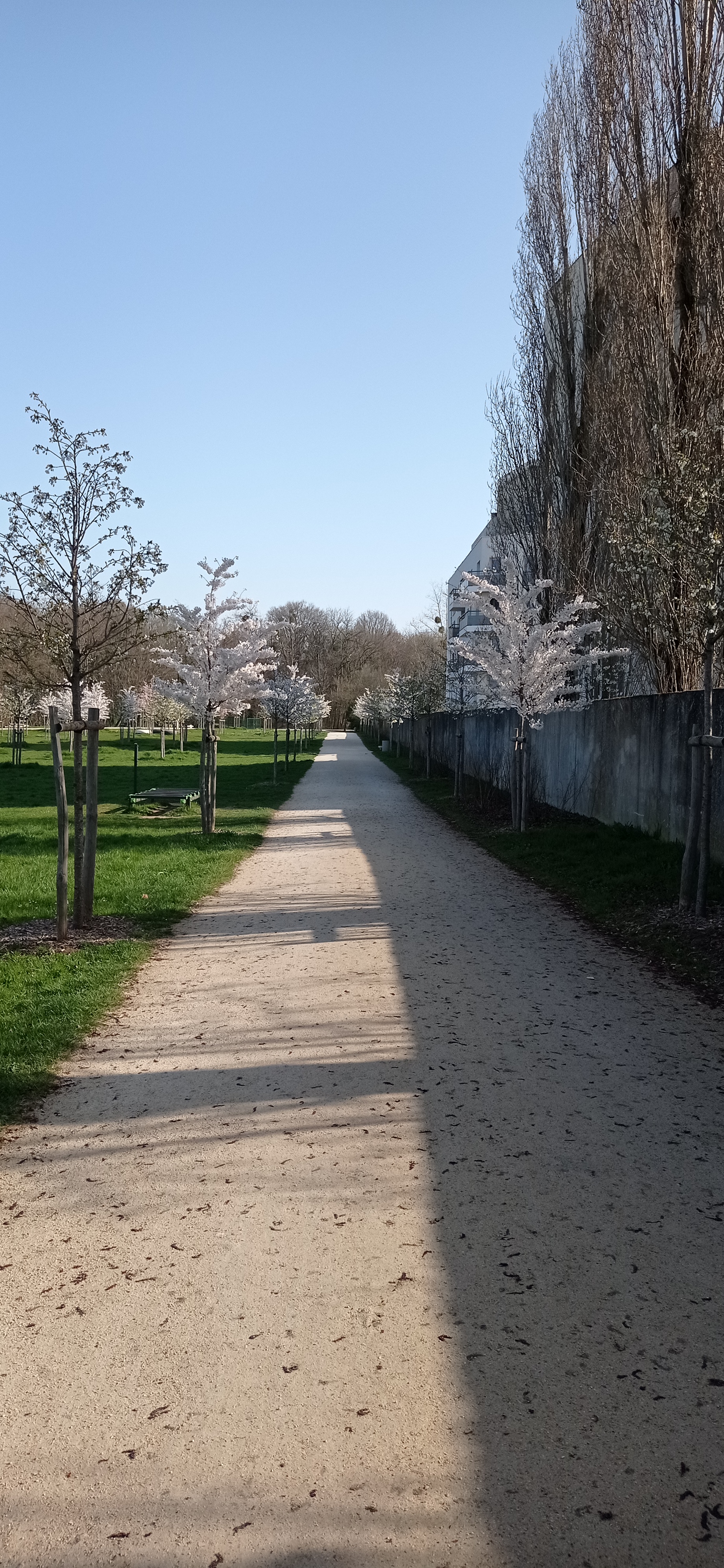 Photo n° 1 de l'avis de Sébastien.e fait le 27/03/2022 à 11:53