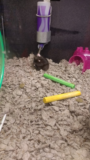 Pet Supply Store «Petco Animal Supplies», reviews and photos, 1450 Twixt Town Rd, Marion, IA 52302, USA