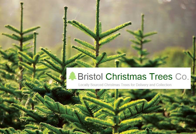 Bristol Christmas Trees