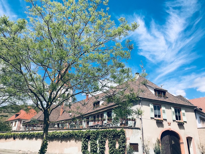 AUX DEUX CIGOGNES AMMERSCHWIHR à Ammerschwihr (Haut-Rhin 68)