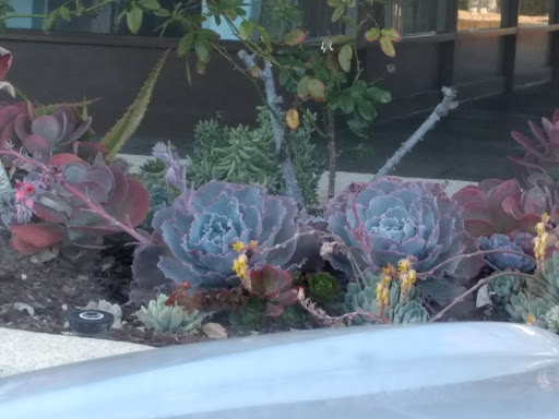 Tobacco Shop «Amsterdam Smoke Shop», reviews and photos, 5901 Warner Ave, Huntington Beach, CA 92649, USA