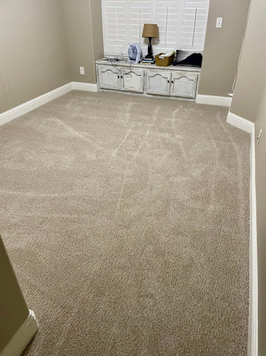 Healthy Home Carpet Cleaning Solutions