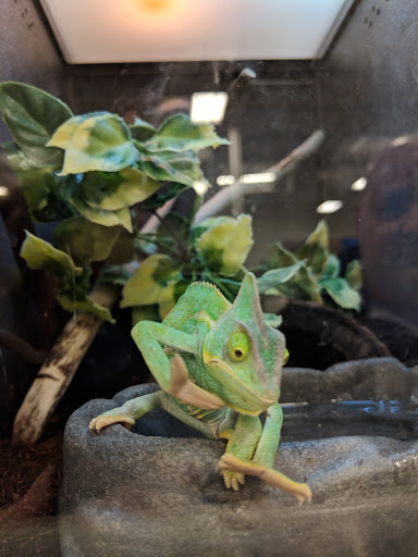 Pet Supply Store «PetSmart», reviews and photos, 7616 Denton Hwy #532, Watauga, TX 76148, USA