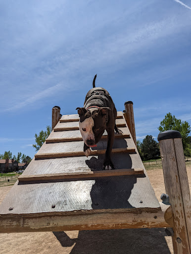 Dog Park «Grandview Dog Park», reviews and photos, 17500 E Quincy Ave, Aurora, CO 80015, USA