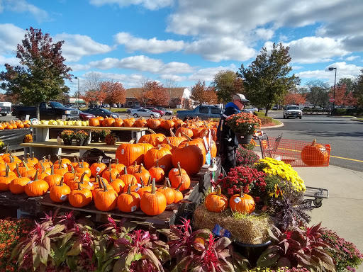 Home Improvement Store «The Home Depot», reviews and photos, 115 Putnam Blvd, Glastonbury, CT 06033, USA