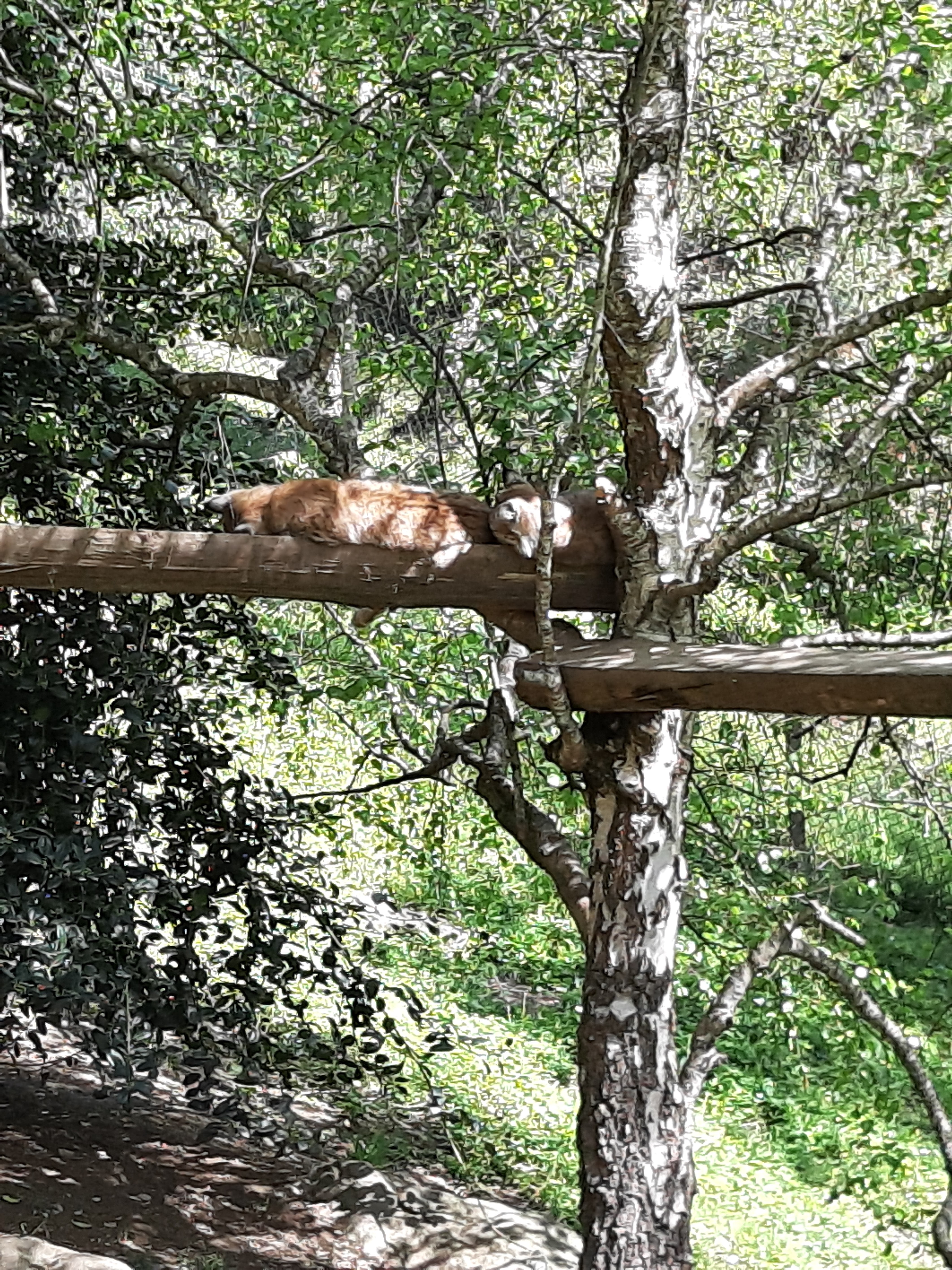 Photo n° 4 de l'avis de Frederic.e fait le 26/04/2022 à 12:50