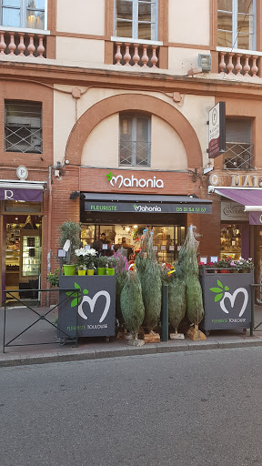 MAHONIA - Fleuriste Toulouse