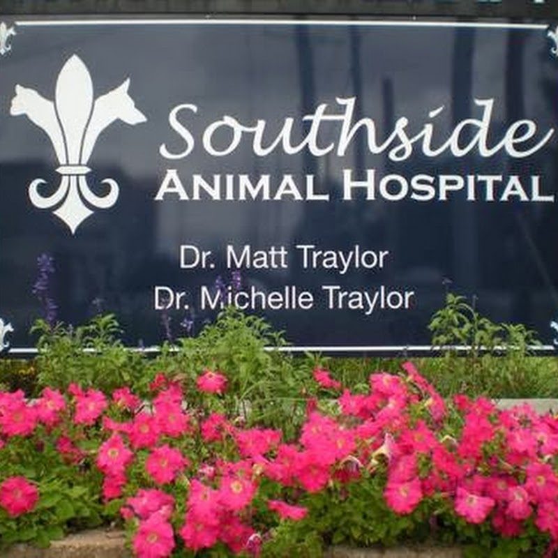 Southside Animal Hospital: Dr. Matt Traylor
