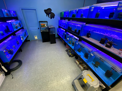 Tropical Fish Store «Lovely Pets Aquarium Store», reviews and photos, 69 Parkingway, Quincy, MA 02169, USA