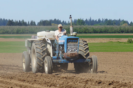 Produce Market «B&P Hitz Fruit Farm (Apples N Produce)», reviews and photos, 14070 Wilco Hwy NE, Woodburn, OR 97071, USA