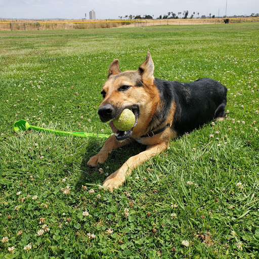 Sporting Goods Store «Second Chance Sports», reviews and photos, 4811 W Point Loma Blvd, San Diego, CA 92107, USA