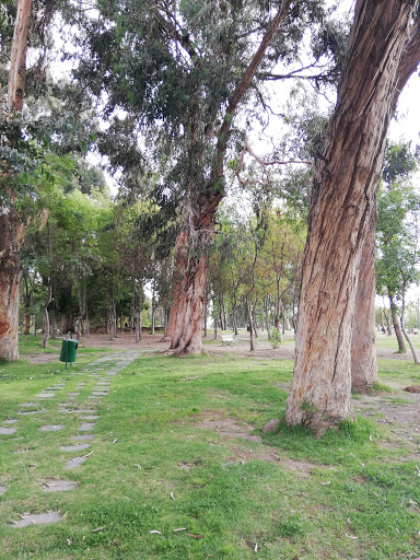 Parque Selva Alegre