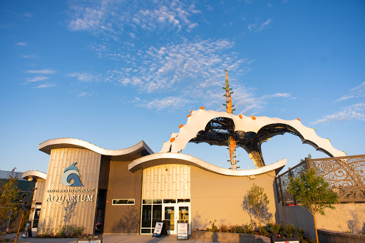 Aquarium «Loveland Living Planet Aquarium», reviews and photos, 12033 Lone Peak Pkwy, Draper, UT 84020, USA