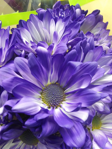 Department Store «Walmart Supercenter», reviews and photos, 13320 Gov G C Peery Hwy, Pounding Mill, VA 24637, USA