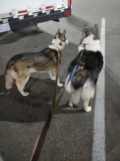 Department Store «Walmart Supercenter», reviews and photos, 20 Ferguson Blvd, Dry Ridge, KY 41035, USA