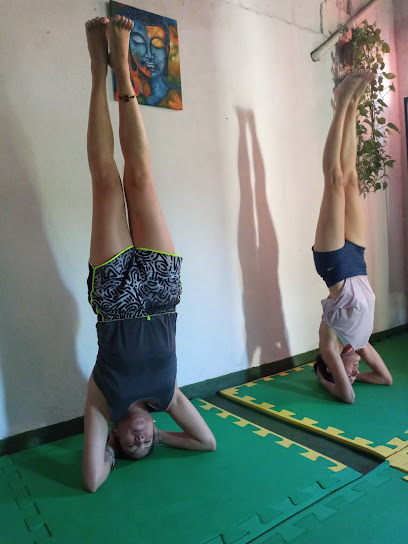 Padma Centro De Yoga
