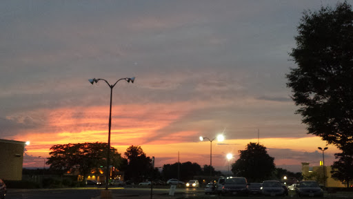 Discount Store «Big Lots», reviews and photos, 300 Enterprise St, Sterling, VA 20164, USA