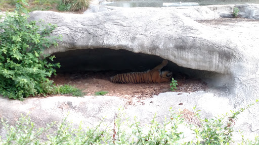 Zoo «Detroit Zoo», reviews and photos, 8450 W 10 Mile Rd, Royal Oak, MI 48067, USA