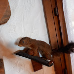 Photo n°2 de l'avis de Antonio.a fait le 24/01/2023 à 11:31 sur le  Alte Hütte à Tarvisio