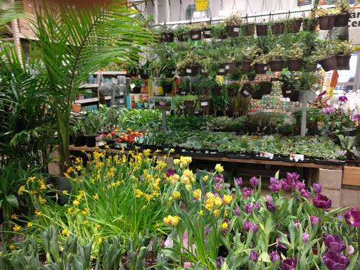 Home Improvement Store «The Home Depot», reviews and photos, 16420 Washington St, Thornton, CO 80023, USA