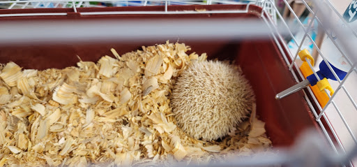 Pet Supply Store «Raiche Pet Supplies», reviews and photos, 6839 W Lee Hwy, Rural Retreat, VA 24368, USA