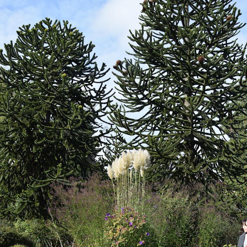 VanDusen Botanical Garden