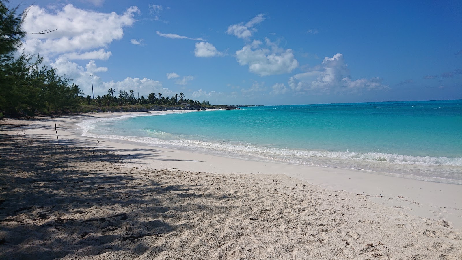 Photo of Forbes Hill beach wild area