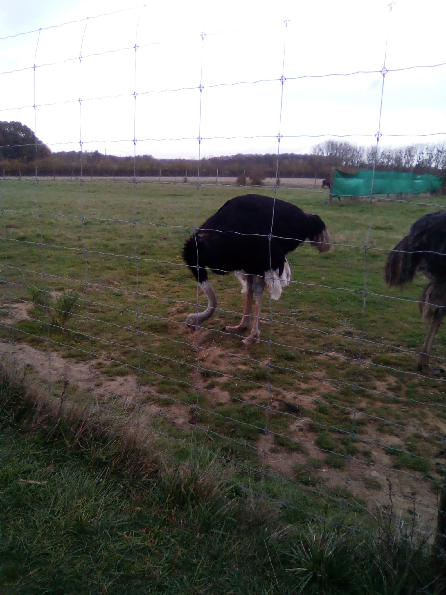 Photo n° 4 de l'avis de ingrid.v fait le 04/11/2017 à 19:49